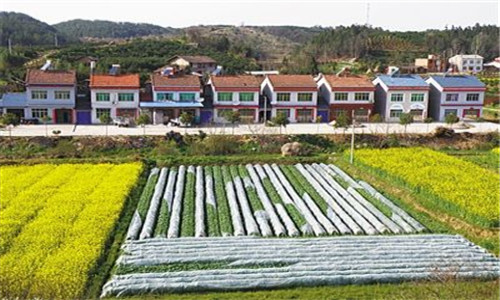 宅基地,宅基地转让