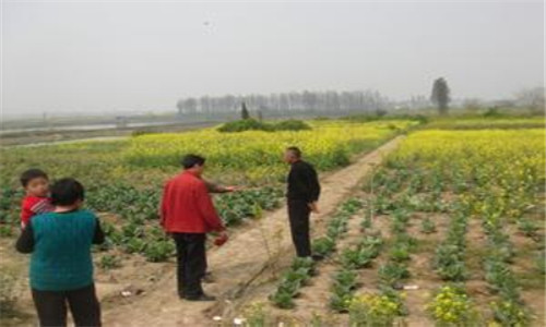 土地流转土地承包经营权