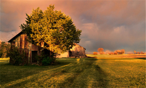 江西:农村贫困户纳入创业担保贷款扶持范围-金