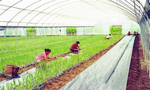 优化产业结构需创新土地管理改革