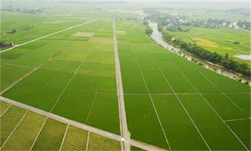 农村集体土地确权登记发证，你家土地还没有身份证么？