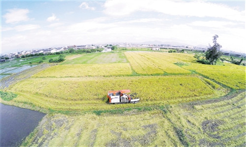 四川南充:土地托管助力脱贫攻坚-金土地