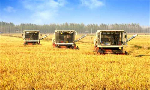 江苏扬州:江都农业现代化建设稳步推进-金土地