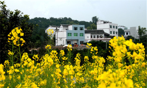 广东:让广大农民平等参与现代化进程、共同分