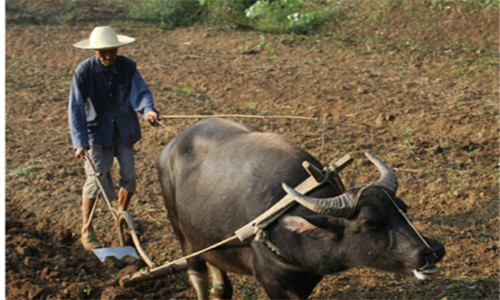 宁夏彭阳:构建农业新技术推广服务6大体系