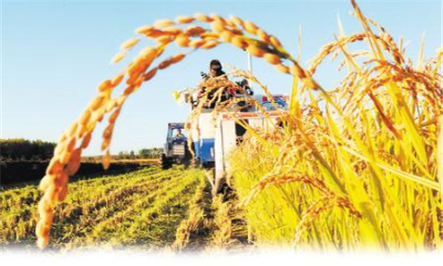 河南郑州:推进农业保险工作-金土地