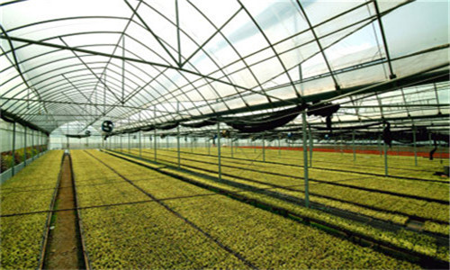 福建：细化设施农用地支持政策