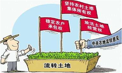 金土地:土地流转