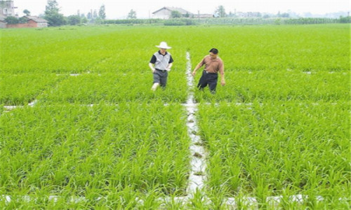 国土资源部发文促永久基本农田各项任务落实-