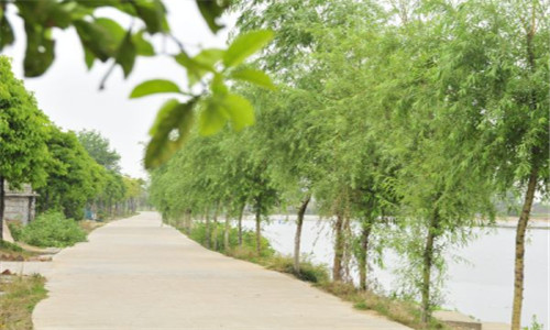 为什么农村的农民搞农业项目总是失败居多,这