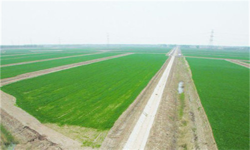 福建莆田：“十三五”将建46.27万亩标准农田