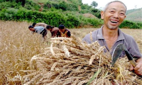 2017农村养殖业新政策,你会养殖创业吗?-金土