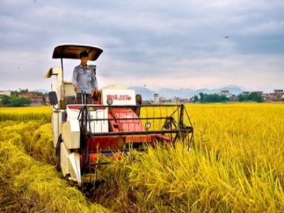 莫斯科人均绿地面积_人均土地面积(3)