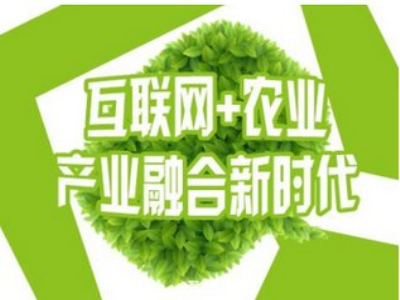 【互联网+农村】“互联网+”时代,互联网+农村会产生怎样的化学反应? 【互联网+农村】“互联网+”时代,互联网+农村会产生怎样的化学反应?