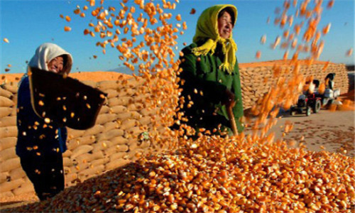 13省200个县纳入农业大灾保险试点,这些地区