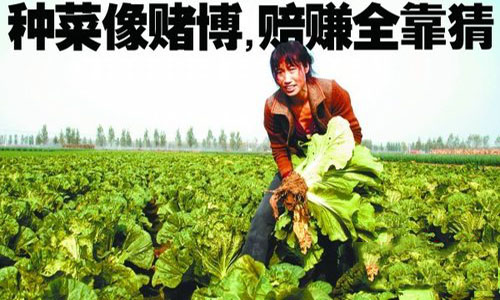 为何菜贱伤农，菜贵也伤民？