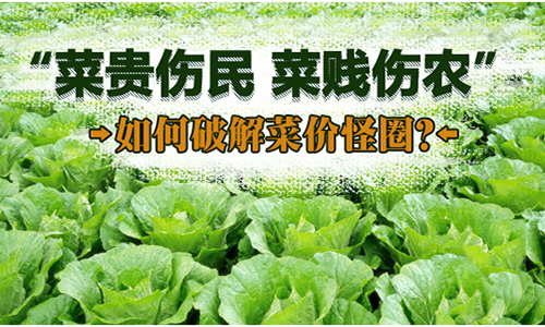 为何菜贱伤农，菜贵也伤民？