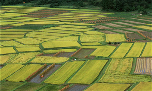 失地农民养老有望 失地养老新规颁布