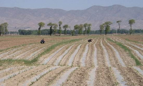 农村土地改革,未来10年,农民要么不种地,要帮别人种地-金土地