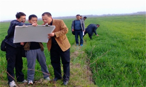 农村土地流转纠纷高发的原因探析及对策