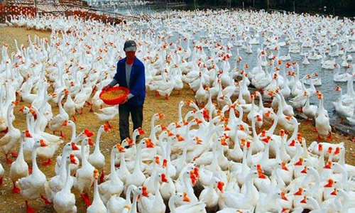 2018年最全养殖补贴,最高可领300万!