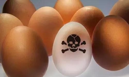 “毒鸡蛋”在台湾肆虐，该怎么守护食品安全