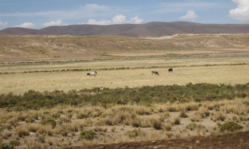 土地是可再生资源吗?你知道吗?-金土地