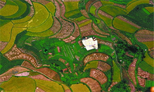 永久基本农田保护任务超额完成 质量明显提升