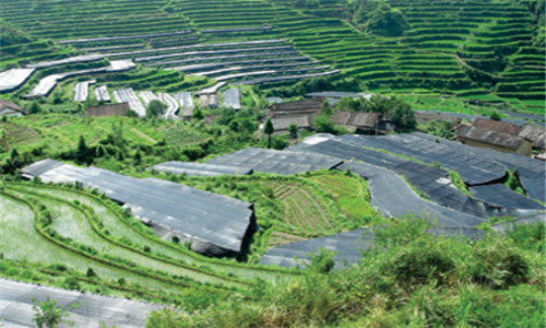 永久基本农田保护任务超额完成 质量明显提升