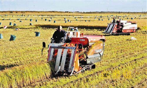 中法合作社大对比 中国合作社也丝毫不逊色-金