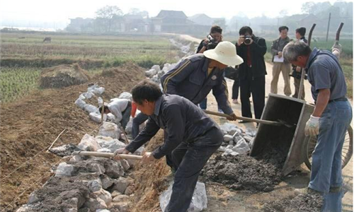 冯提莫收入多少_一亩地一年收入多少(3)