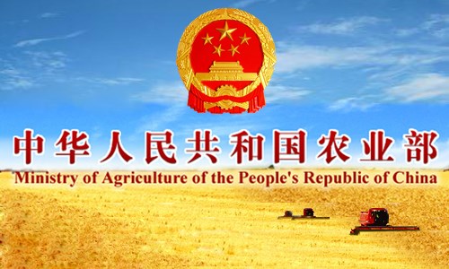 收入证明_农民年平均收入
