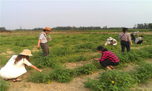 今年开始,7种费用不用交,农村4项改造启动,农民