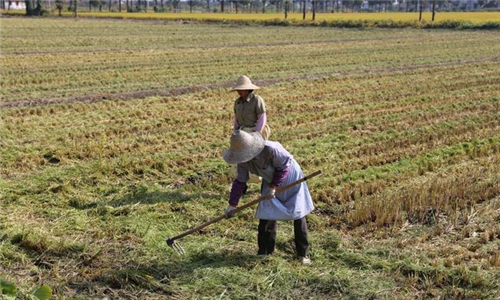 农村建设规划:未来十年农村将会发生这三种变