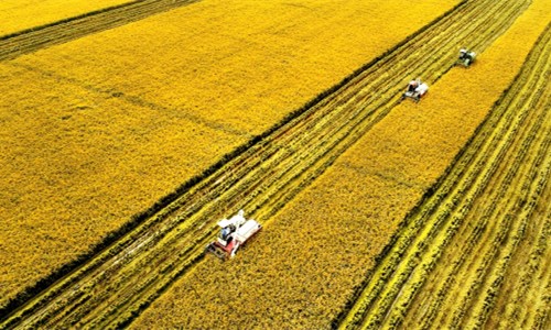 未来，土地流转将是农民获得稳定收入的来源？