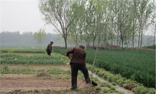 2018年农村养老新政策,这些人的养老金将会大