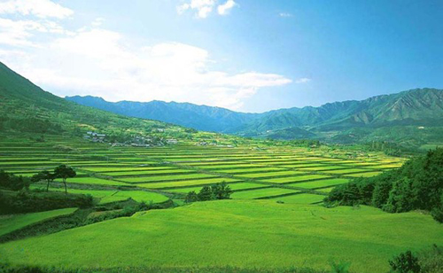 2018土地确权新政策 农村土地将更加值钱