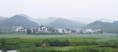 宅基地转让协议_人均宅基地(3)