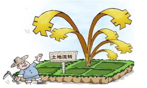 宁夏完善土地流转规范措施