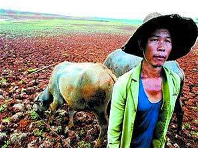 出嫁女入赘婿土地权益纠纷难断