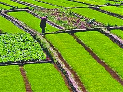 家庭承包方式的农村土地承包经营权是否可以继承案例